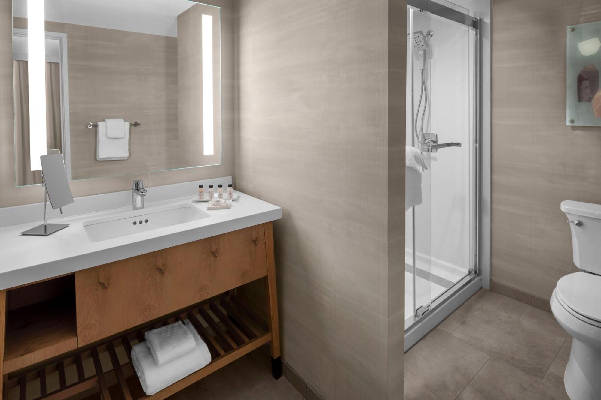 Delta By Marriott Silicon Valley Hotel 3*
